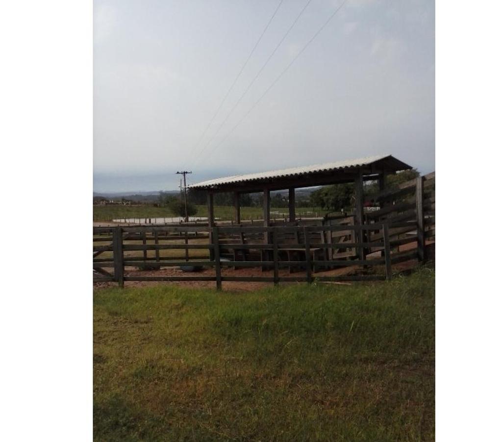 Comprar Loja Santa Cruz do Sul RS - Fotos para Frigorifico e Abatedouro Bovino no Rio Grande do Sul.