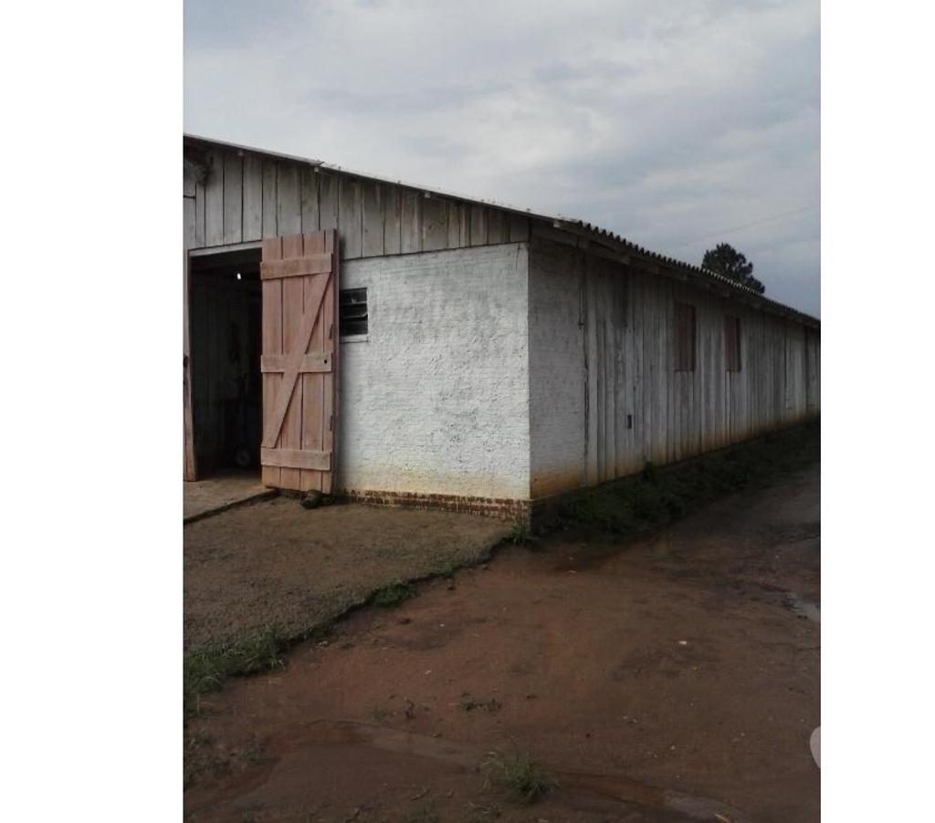 Comprar Loja Santa Cruz do Sul RS - Fotos para Frigorifico e Abatedouro Bovino no Rio Grande do Sul.