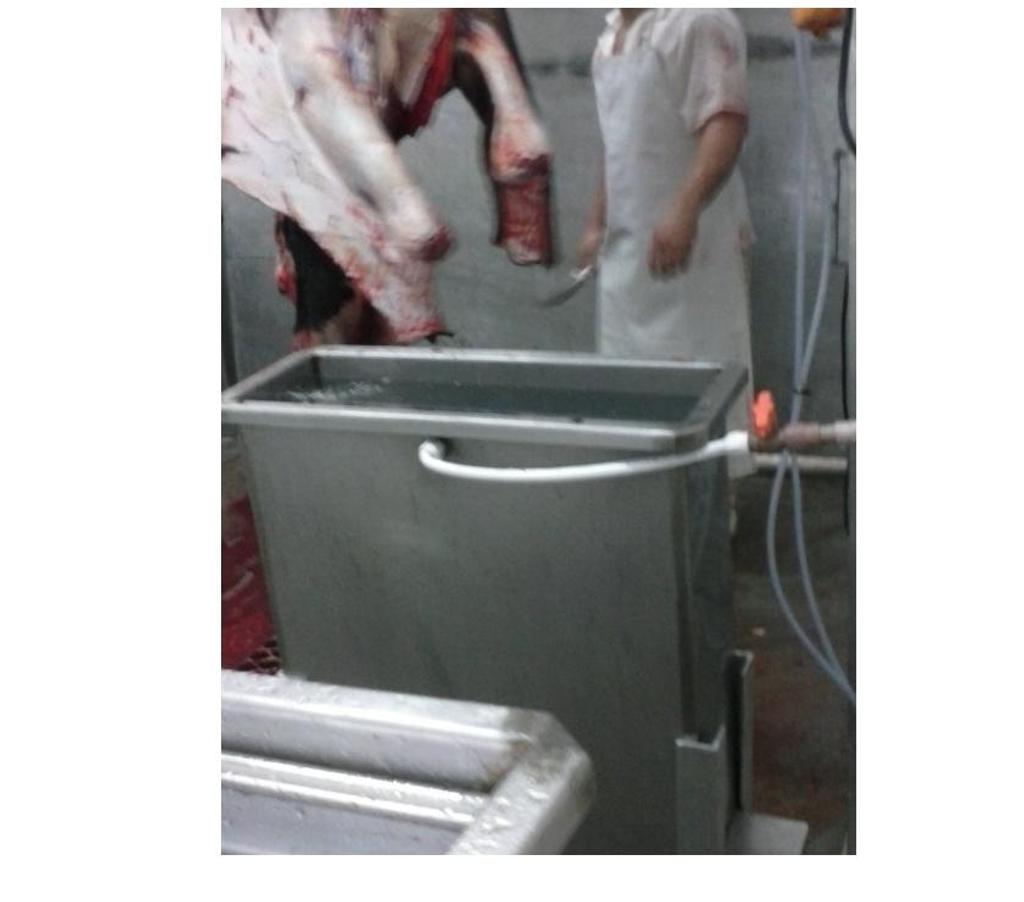 Comprar Loja Santa Cruz do Sul RS - Fotos para Frigorifico e Abatedouro Bovino no Rio Grande do Sul.