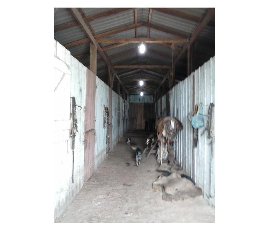 Comprar Loja Santa Cruz do Sul RS - Fotos para Frigorifico e Abatedouro Bovino no Rio Grande do Sul.