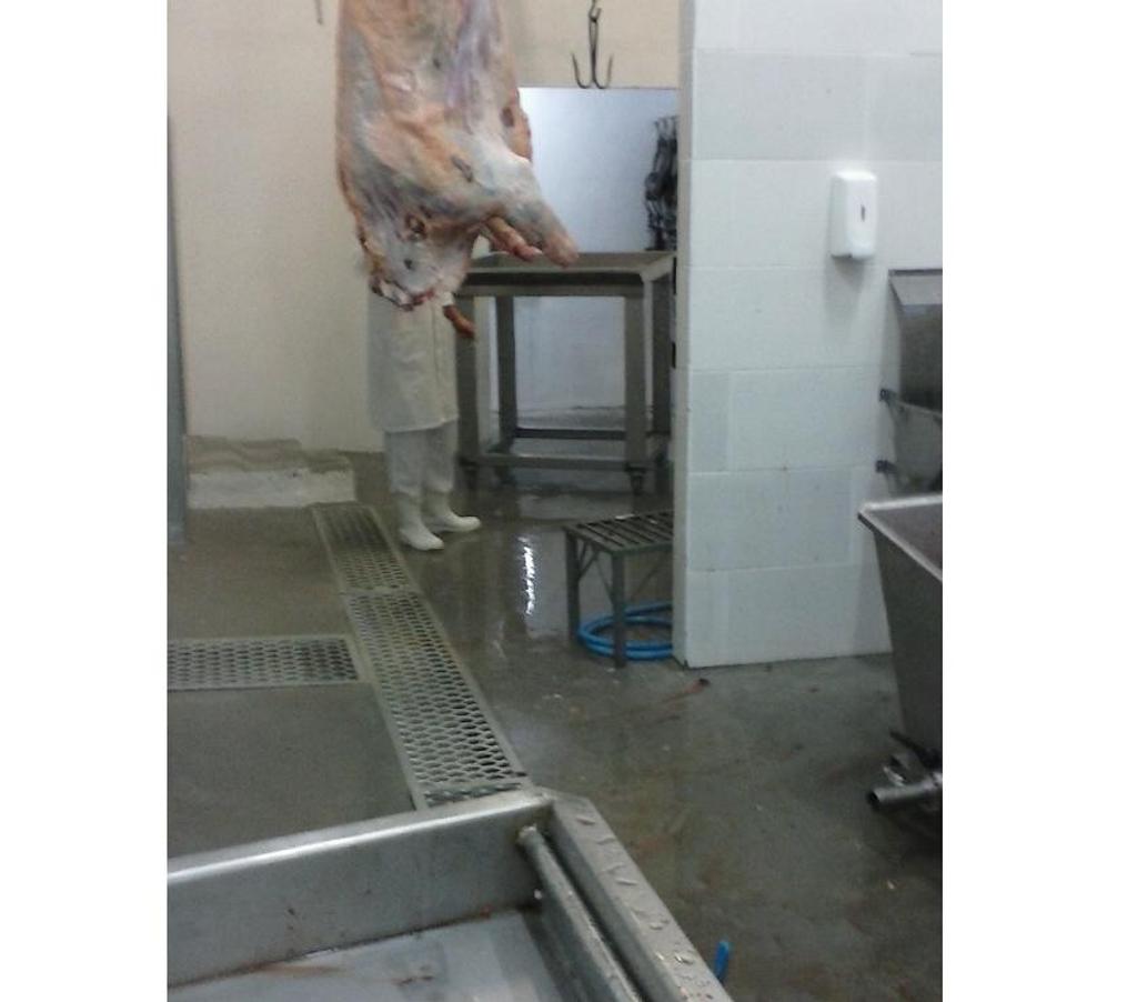 Comprar Loja Santa Cruz do Sul RS - Fotos para Frigorifico e Abatedouro Bovino no Rio Grande do Sul.