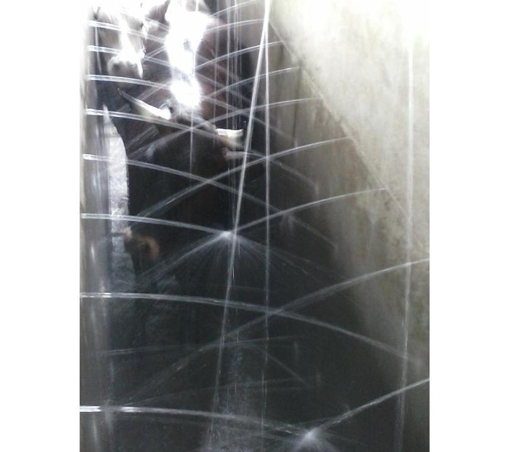 Comprar Loja Santa Cruz do Sul RS - Fotos para Frigorifico e Abatedouro Bovino no Rio Grande do Sul.