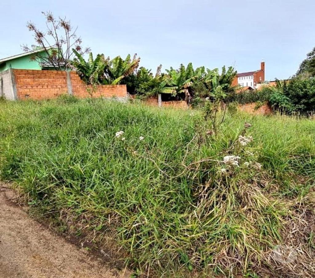 Terrenos Jaguaruna SC - Fotos para Lote alto no Encruzo - JaguarunaSC