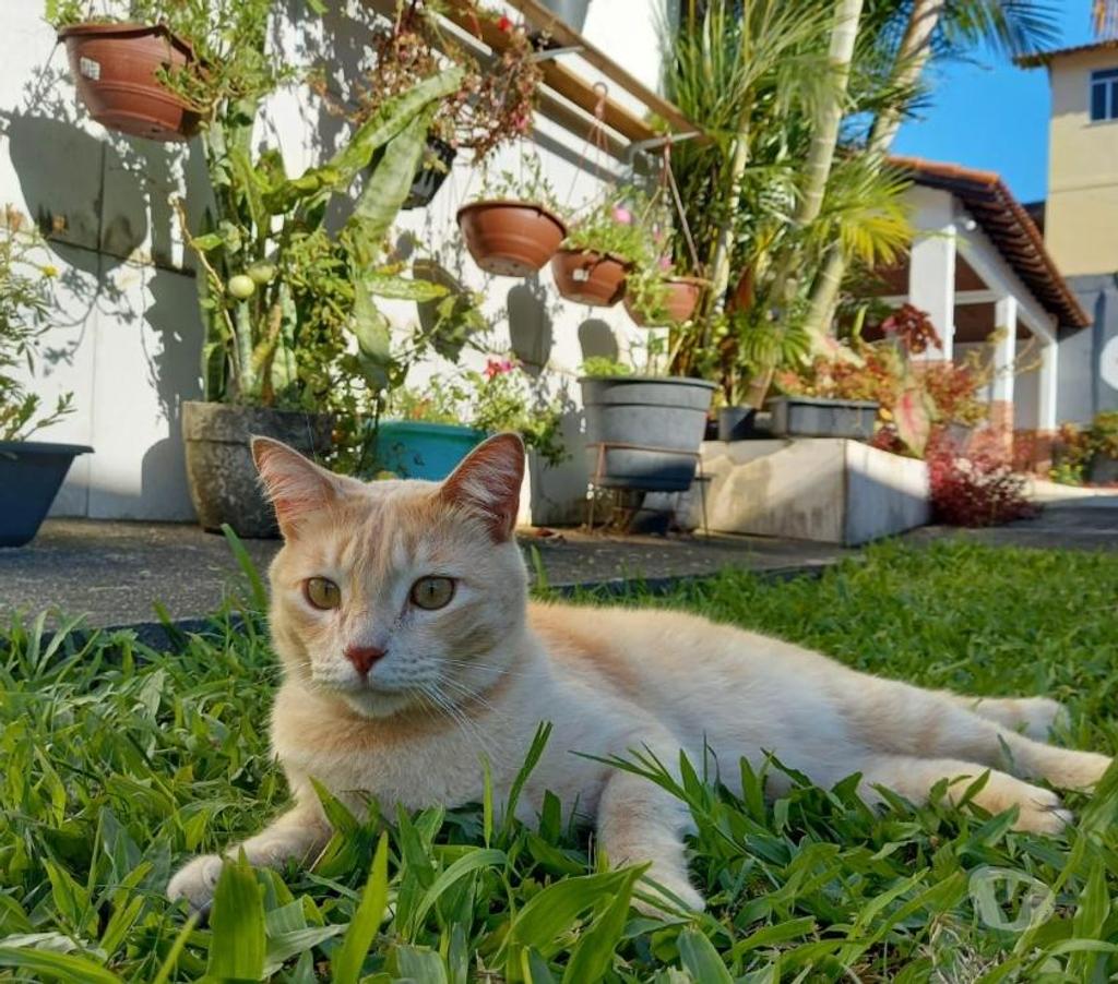 Aluguel temporada Mangaratiba RJ - Fotos para Mangaratiba, muriqui, temporada , kitinete