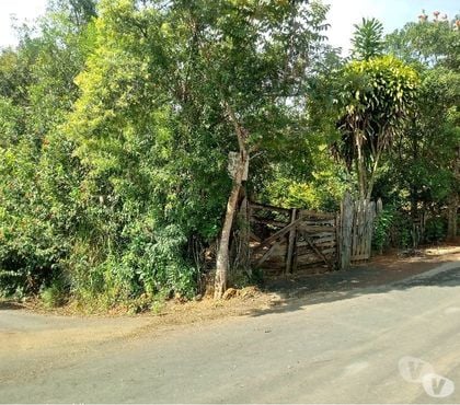 Fazendas - Sitios à venda - Fotos para Chácara em Extrema MG com 2.000 no asfalto