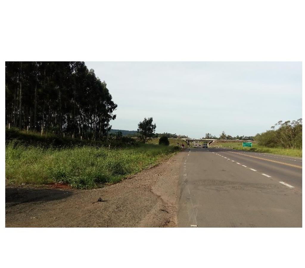 Terrenos Santa Cruz do Sul RS - Fotos para Vende-se Terreno Industrial de 26.000 m2 Vera Cruz no trevo 