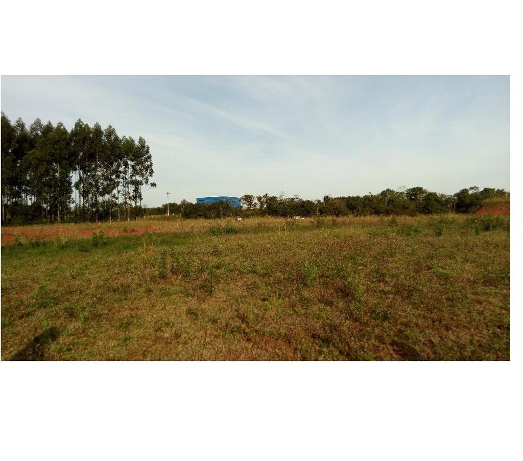 Terrenos Santa Cruz do Sul RS - Fotos para Vende-se Terreno Industrial de 26.000 m2 Vera Cruz no trevo 