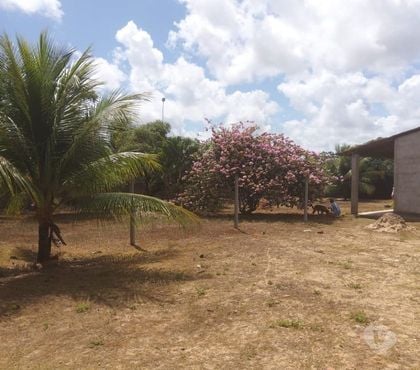 Fazendas - Sitios à venda - Fotos para Chácara 2000 m2 casa sede - Pium - Nisia FlorestaRN