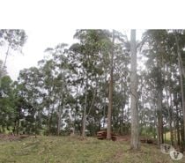 Sítio em Camanducaia MG com 5,0 alqueires e duas casas