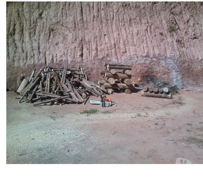 Diversos - Fotos para Eucalipto lenha