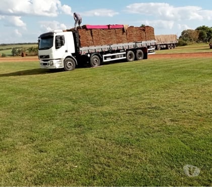 Produtos rurais São Bernardo do Campo Grande Sao Paulo SP - Fotos para Grama Esmeralda