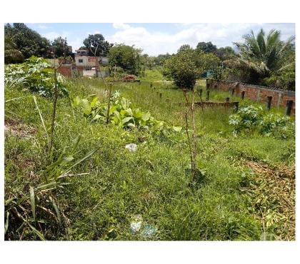 Terrenos - Fotos para TERRENO NA LAGOINHA ÓTIMA LOCALIZAÇÃO