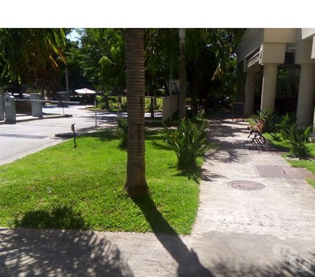 Outros serviços Sao Paulo SP Santo Amaro - images_alt_text Jardinagem Paisagismo