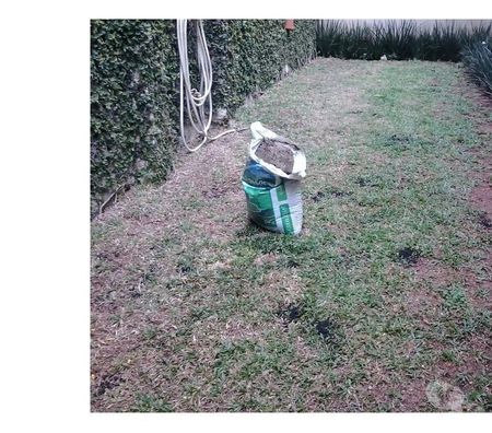 Outros serviços Sao Paulo SP Santo Amaro - images_alt_text Jardinagem Paisagismo