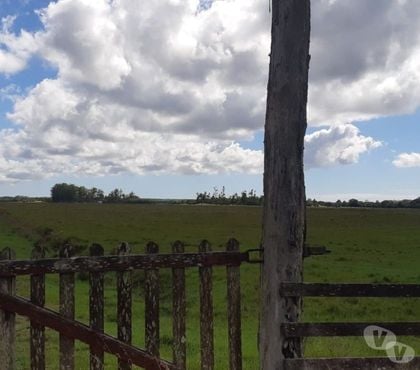 Fazendas - Sitios à venda - Fotos para Fazenda 100ha no Asfalto e Fundos Lagoa em Osório RS