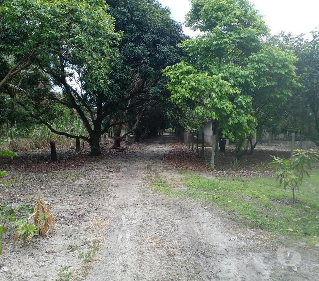 Terrenos Itaguai RJ - Fotos para Lote 94.817M² RJ 99 ao Lado ZL - LOG Itaguaí RJ. 