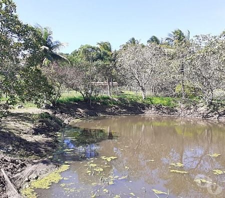 Fazendas - Sitios à venda Itaborai RJ - Fotos para Itaboraí, Sítio, 23 mil m², Árvores Frutíferas e Lago.