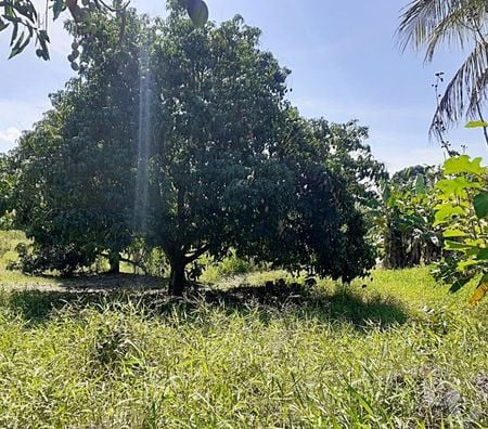 Fazendas - Sitios à venda Itaborai RJ - Fotos para Itaboraí, Sítio, 23 mil m², Árvores Frutíferas e Lago.