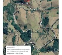 Fazenda Gado, grãos 40 Alq. 4 milhões