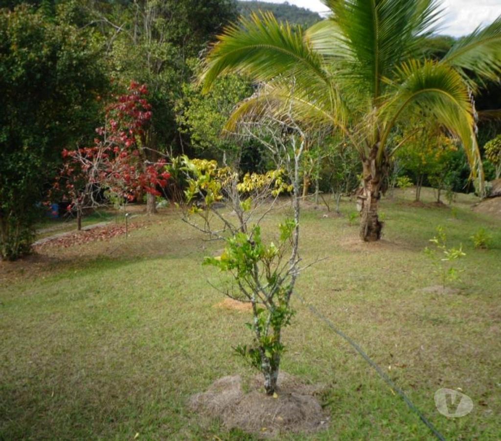 Fazendas - Sitios à venda Petropolis RJ - Fotos para SÍTIO MIN DA POSSE, 18.000m² COM 2 CASAS