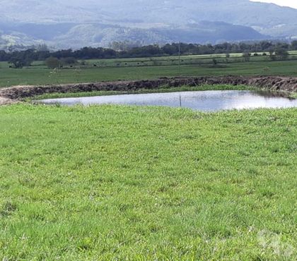 Fazendas - Sitios à venda - Fotos para Fazenda 206 ha Multiprodutiva Santo Antonio da Patrulha RS