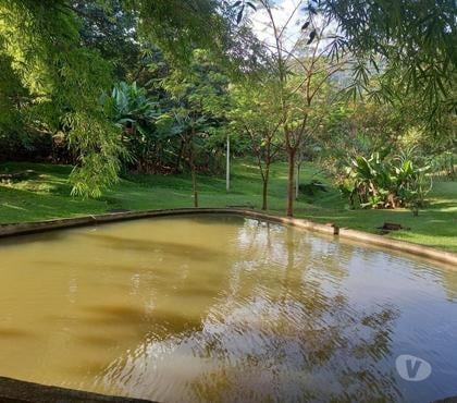 Fazendas - Sitios à venda - Fotos para SÍTIO PRÓXIMO A POSSE 20.000 M², LAGO, NASCENTE
