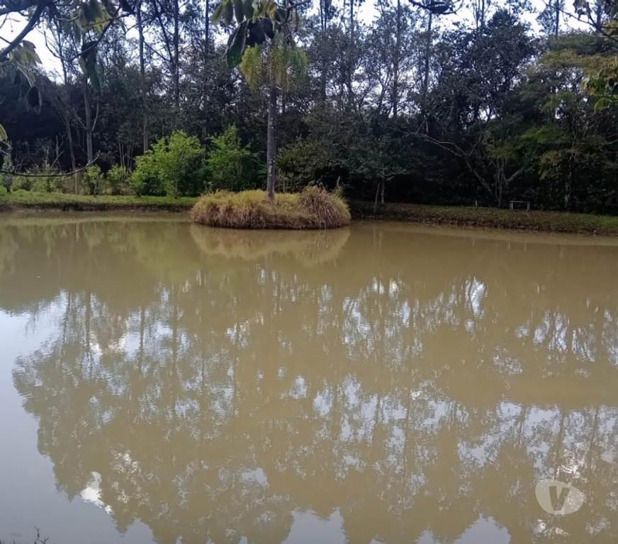 Fazendas - Sitios à venda Lagoinha SP - Fotos para Lindo sitio de 4,5270 hectares em Lagoinha- SP 
