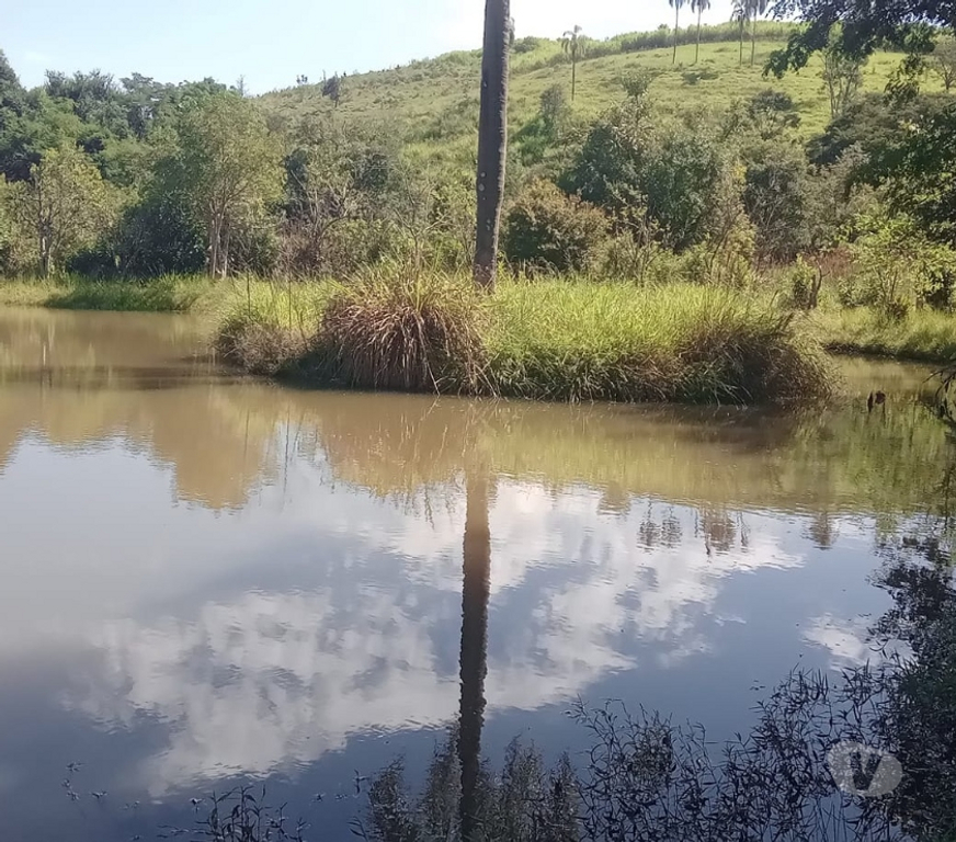 Fazendas - Sitios à venda Lagoinha SP - Fotos para Lindo sitio de 4,5270 hectares em Lagoinha- SP 