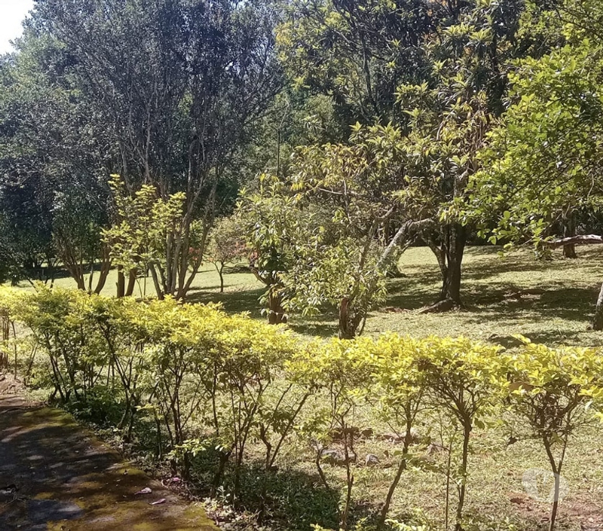 Fazendas - Sitios à venda Lagoinha SP - Fotos para Lindo sitio de 4,5270 hectares em Lagoinha- SP 