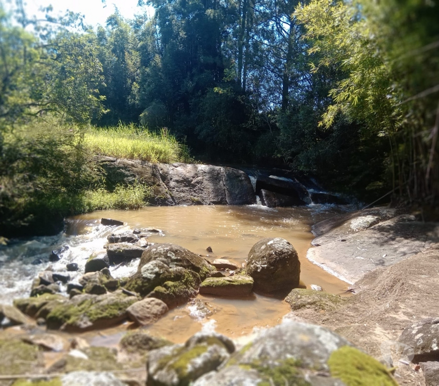Fazendas - Sitios à venda Lagoinha SP - Fotos para Lindo sitio de 4,5270 hectares em Lagoinha- SP 
