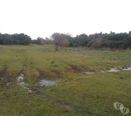 Fazendas - Sitios à venda - Fotos para Campo de 160ha Pecuária Equino Ovino em Tavares RS