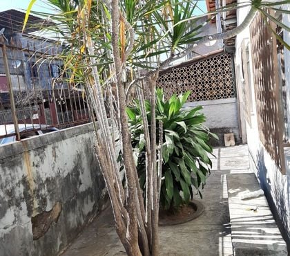 Casas a venda - Fotos para Maravilhosa Casa Furtado de Menezes Juiz de Fora