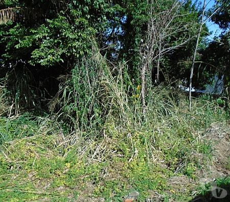 Terrenos Marica RJ - Fotos para R$ 140 Mil Reais! Terreno Vista Panorâmica da Lagoa.