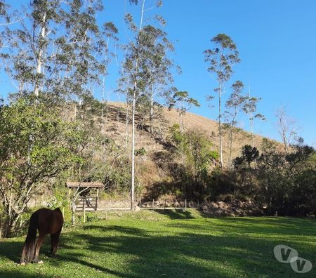 Fazendas - Sitios à venda Sao Jose dos Campos SP - Fotos para SÍTIO 04 ALQUEIRES COM RIACHO, LAGO, PASTO EM S. F. XAVIER