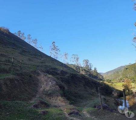 Fazendas - Sitios à venda Sao Jose dos Campos SP - Fotos para SÍTIO 04 ALQUEIRES COM RIACHO, LAGO, PASTO EM S. F. XAVIER