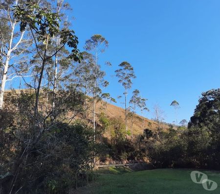 Fazendas - Sitios à venda Sao Jose dos Campos SP - Fotos para SÍTIO 04 ALQUEIRES COM RIACHO, LAGO, PASTO EM S. F. XAVIER