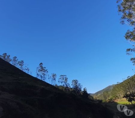 Fazendas - Sitios à venda Sao Jose dos Campos SP - Fotos para SÍTIO 04 ALQUEIRES COM RIACHO, LAGO, PASTO EM S. F. XAVIER