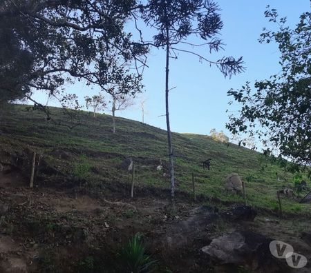 Fazendas - Sitios à venda Sao Jose dos Campos SP - Fotos para SÍTIO 04 ALQUEIRES COM RIACHO, LAGO, PASTO EM S. F. XAVIER