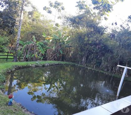 Fazendas - Sitios à venda - Fotos para SÍTIO 04 ALQUEIRES COM RIACHO, LAGO, PASTO EM S. F. XAVIER