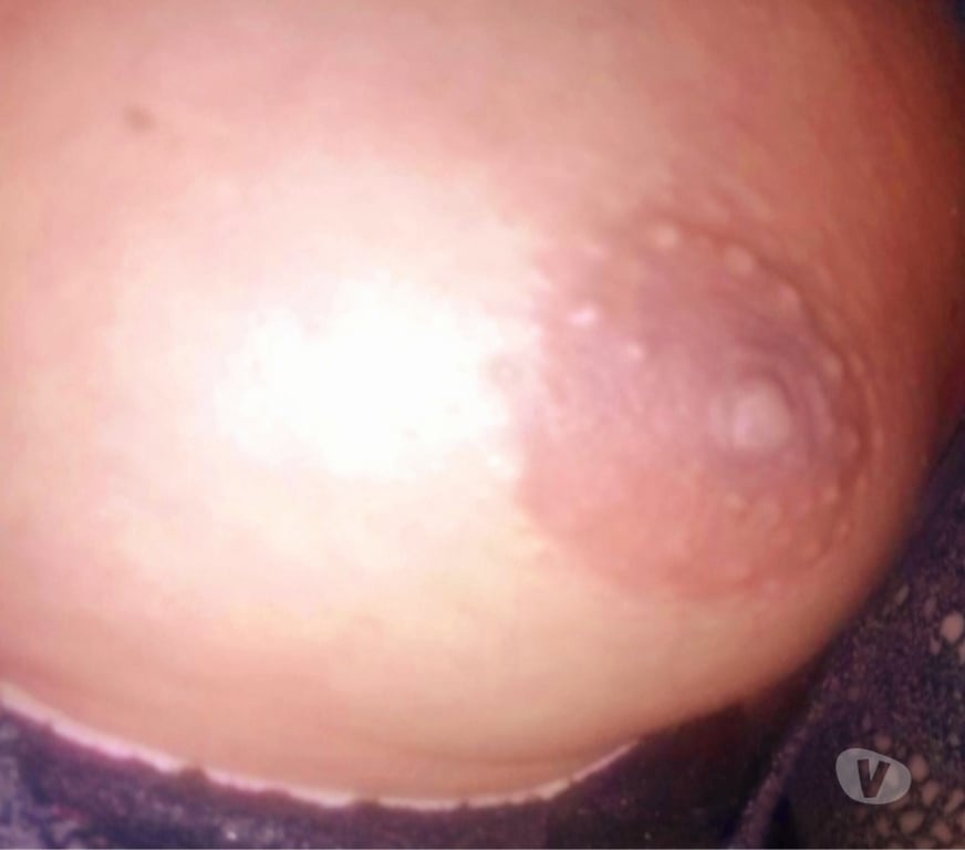 Encontros Casuais Sao Paulo SP Penha, São Paulo - Fotos para CUCETÃO MULHER TRANS:QRO GANHAR PERU DE NATAL na CUCETA