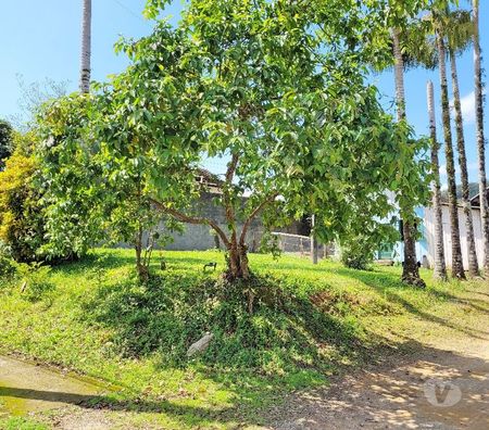 Terrenos Pomerode SC - Fotos para Terreno Testo Alto - Rota do Enxaimel