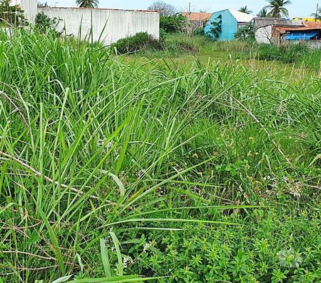 Terrenos Marica RJ - Fotos para Terrenos Planos, Multifamiliar, Prontos Para Construir.