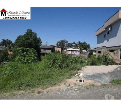 Terrenos a venda - Fotos para Terreno a venda bairro Santo Antonio Criciúma