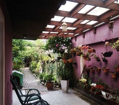 Apartamentos a venda - Fotos para Casa com terreno 444m², pomar, 3 quartos, suite, edicula