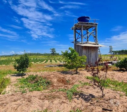 Terrenos - Lotes - Fotos para Terreno com 5.398,61 m² no Riachinho - JaguarunaSC