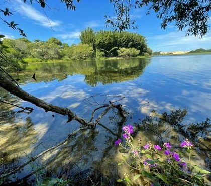 Terrenos - Lotes - Fotos para Terreno com 2ha. no Arroio corrente - JaguarunaSC