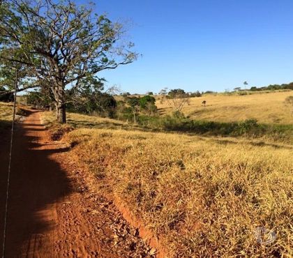 Fazendas - Sitios à venda - Fotos para Vende-se Terra no município de Goianira, Goiás.