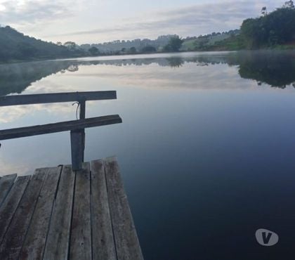 Fazendas - Sitios à venda - Fotos para Excelente fazenda de café sul de Minas