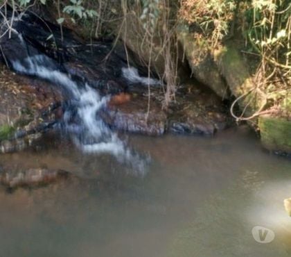 Terrenos - Lotes - Fotos para Terreno à venda 10.000 m² com Escritura em Socorro SP