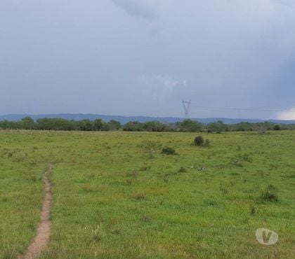 Fazendas - Sitios à venda - Fotos para Campo 90ha no Asfalto em Glorinha RS